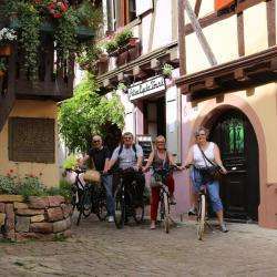 Alsa Cyclo Tours Eguisheim