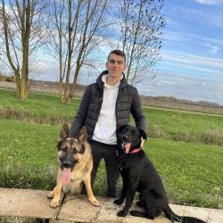 Dressage Alta Dog - 1 - Alta Dog 
Clément Simon
Educateur Et Comportementaliste Canin – Troyes Et Ses Alentours
 - 