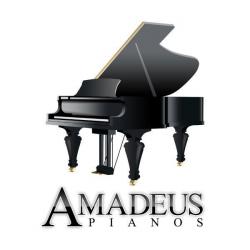 Amadeus Pianos Revigny Sur Ornain