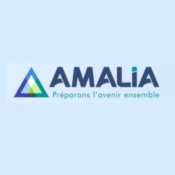 Agence immobilière Amalia Immobilier - 1 - 