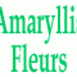 Fleuriste Amaryllis - 1 - 