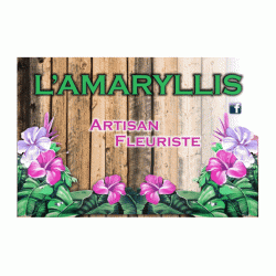 Fleuriste L'amaryllis - 1 - 