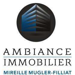 Ambiance Immobilier - M. Mugler-filliat Valence