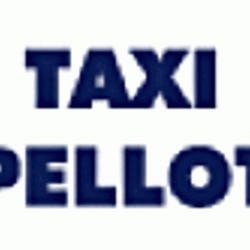 Taxi Pellot Damazan