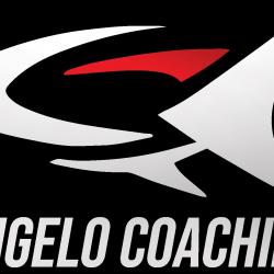 Coach sportif Coach Sportif Bordeaux - Angelo Coaching  - 1 - 