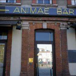 Animae Bar Toulouse