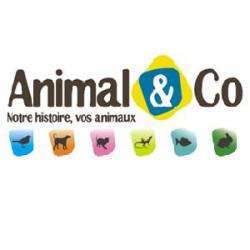 Animal & Co Agen Boé