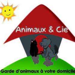 Animaux & Cie Villeneuve D'ascq