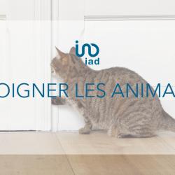 Agence immobilière Anne Sophie GOULLIER - Immobilier - IAD France - Andrésy - 1 - 