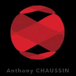 Commerce Informatique et télécom Anthony Chaussin - 1 - Logo Anthony Chaussin - 