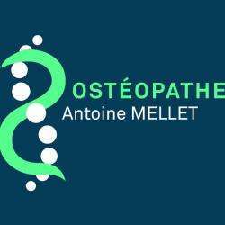 Ostéopathe Antoine Mellet - 1 - 