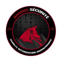 Sécurité Anubis Securite - 1 - 