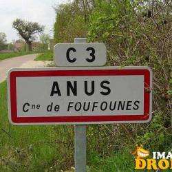 Anus Fouronnes