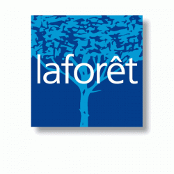 Agence immobilière Laforet - 1 - 