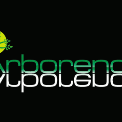 Jardinage Arborenciel Service-Technique -Elagage - 1 - Logo Arborenciel - 