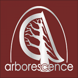 Arborescence - David Haquin