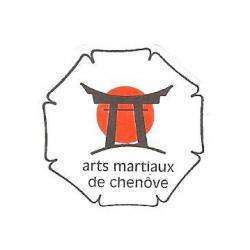 Association Sportive ARTS MART CHENOVE - 1 - 