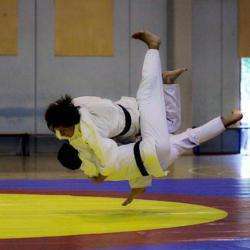 As Courtisols Section Judo Courtisols