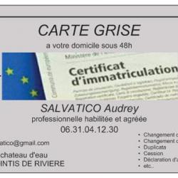A.s Services Carte Grise Pointis De Rivière
