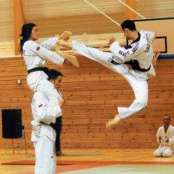 A.s. Taekwondo Sonmudo Millau Millau