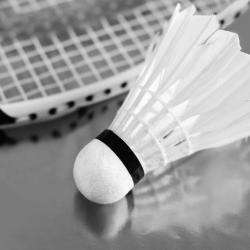 Assg Club Badminton Guipavas