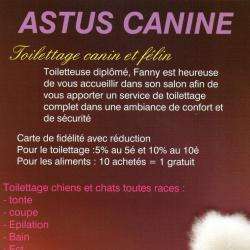 Salon de toilettage Astus Canine - 1 - 