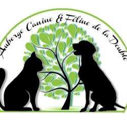 Auberge Canine Et Féline De La Double La Roche Chalais