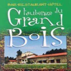 Hôtel et autre hébergement Auberge du Grand Bois - 1 - 