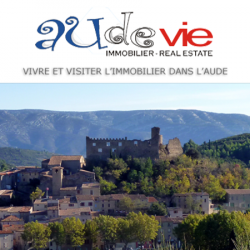 Agence immobilière Audevie - 1 - 
