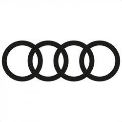Audi Jean Rouyer Automobiles - Trignac (44) Trignac