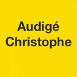Peintre Audigé Christophe - 1 - 