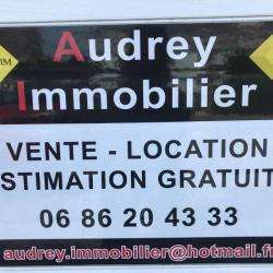 Agence immobilière Audrey Immobilier - 1 - 