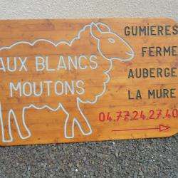 Restaurant Aux Blancs Moutons - 1 - 