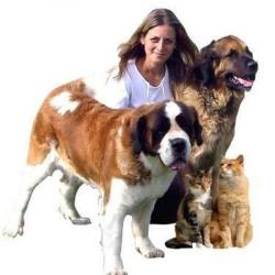 Garde d'animaux et Refuge Aux Calins Canins - 1 - 