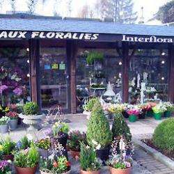 Fleuriste Aux Floralies - 1 - 