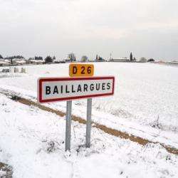 Ville et quartier Baillargues - 1 - 