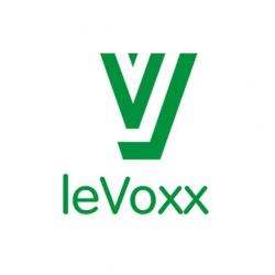 Bar Le Voxx Lyon
