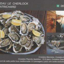 Bateaux Le Rocambole & Le Cherlock Montrichard Val De Cher