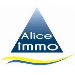 Agence immobilière Alice-immo - 1 - 