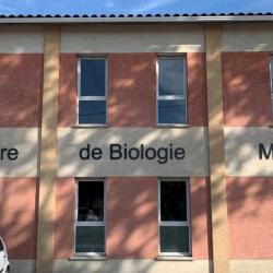 Bch - Biologie Du Cœur D’hérault Clermont L'hérault