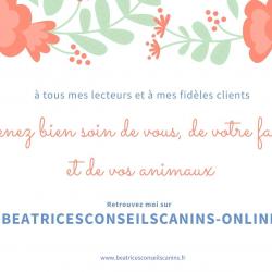 Béatrice Suzan - Beatricesconseilscanins La Ciotat