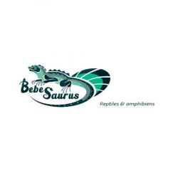 Animalerie Bebesaurus - 1 - Magasin De Reptiles Et Amphibiens à Lyon - 