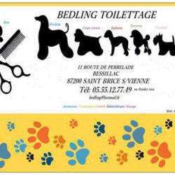 Bedling Toilettage Saint Brice Sur Vienne