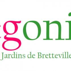 Fleuriste Bégonia - Les Jardins de Bretteville - 1 - 