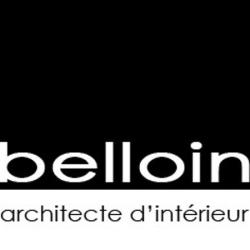 Architecte Belloin David - 1 - 