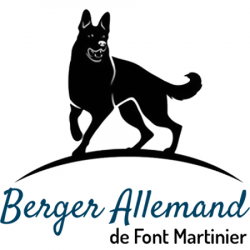Elevage Berger Allemand de Front Martinier - 1 - 