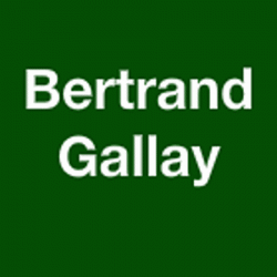 Bertrand Gallay Paris