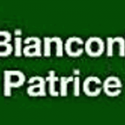 Taxi Bianconi Patrice - 1 - 