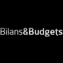 Services Sociaux Bilans Et Budgets - 1 - 