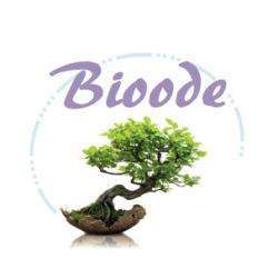 Massage Bioode - 1 - Cabinet De Massage Intuitif Entre Angers Et Saumur - 